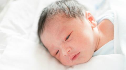 Perkembangan sistem pencernaan bayi yang baru lahir