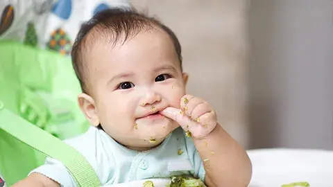  Panduan Takaran Makan si Kecil