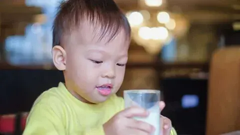 Rekomendasi Susu Formula untuk Kecerdasan Anak 