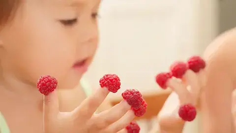 Finger Food yang Sesuai untuk Si Kecil