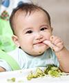 Panduan Takaran Makan si Kecil