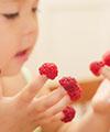 Finger Food yang Sesuai untuk Si Kecil